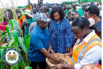 President Bio Performs Symbolic Harvest on 60-Hectare Maize Farm in Taiama.